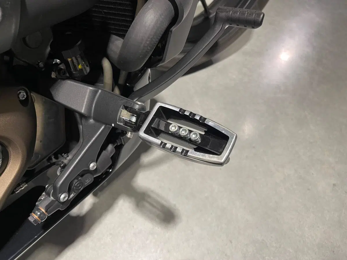 Harley-Davidson Sportster S (2022 - 24) (6)