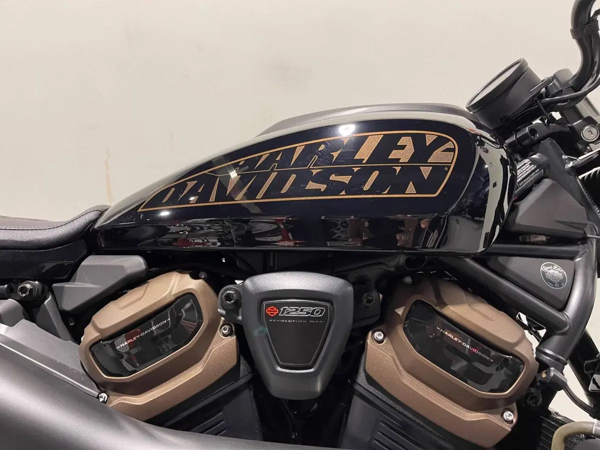 Harley-Davidson Sportster S (2022 - 24) (9)