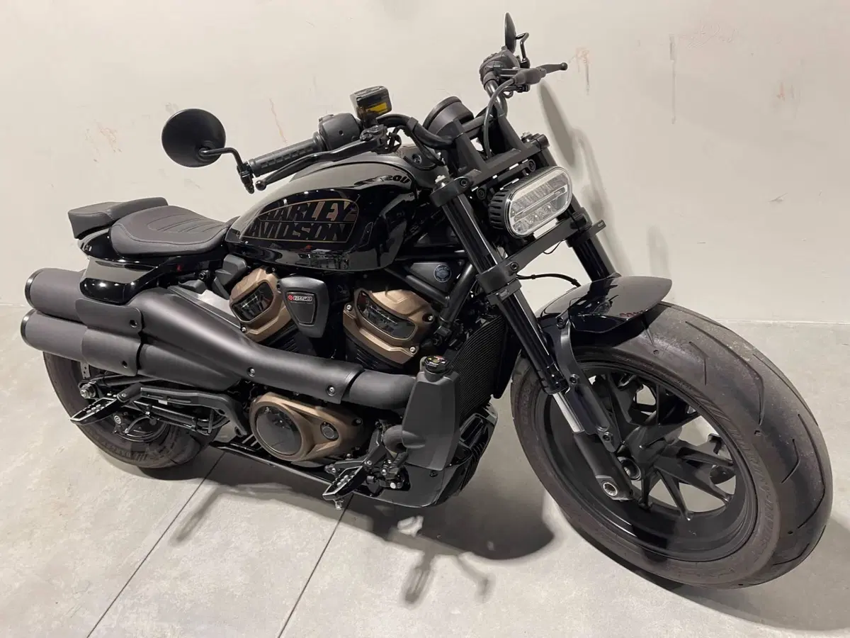 Harley-Davidson Sportster S (2022 - 24) (10)