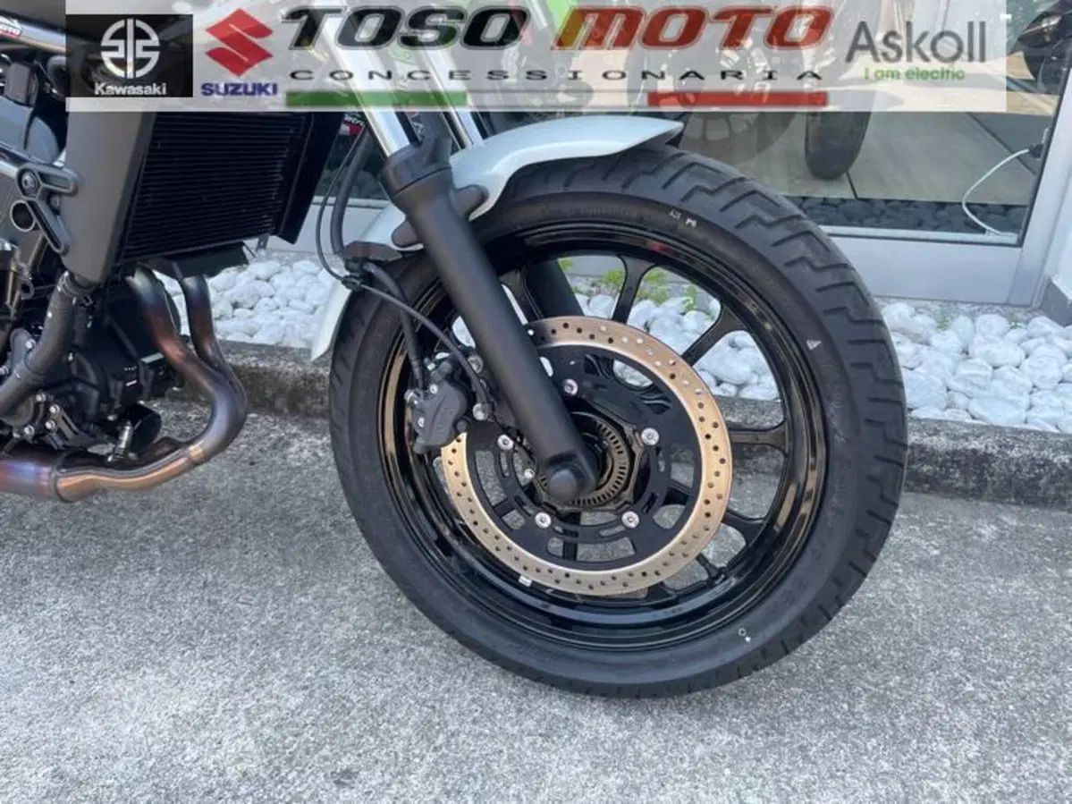 Kawasaki Eliminator 500 (2024 - 26) (4)