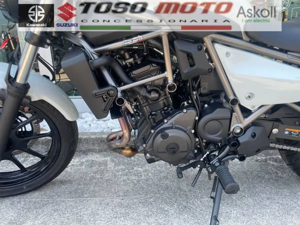 Kawasaki Eliminator 500 (2024 - 26) (7)