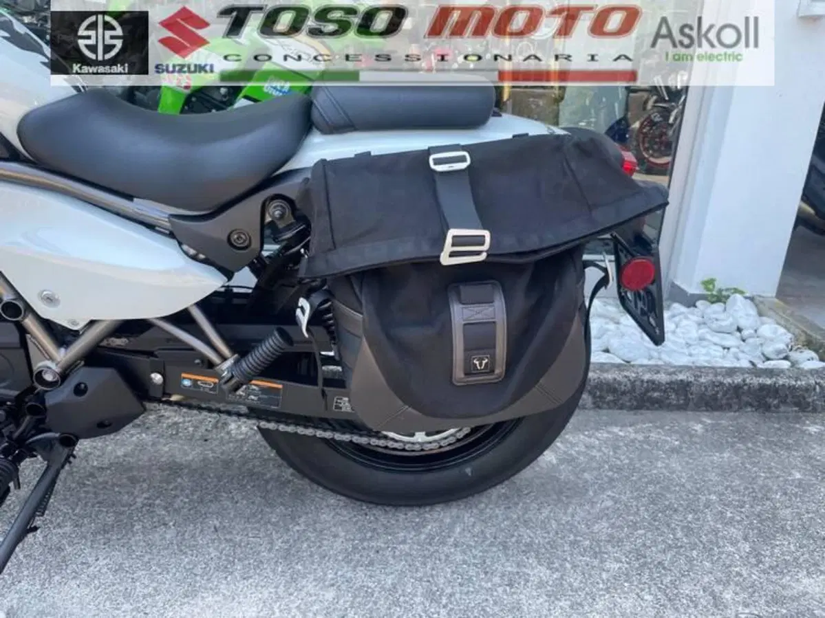 Kawasaki Eliminator 500 (2024 - 26) (8)