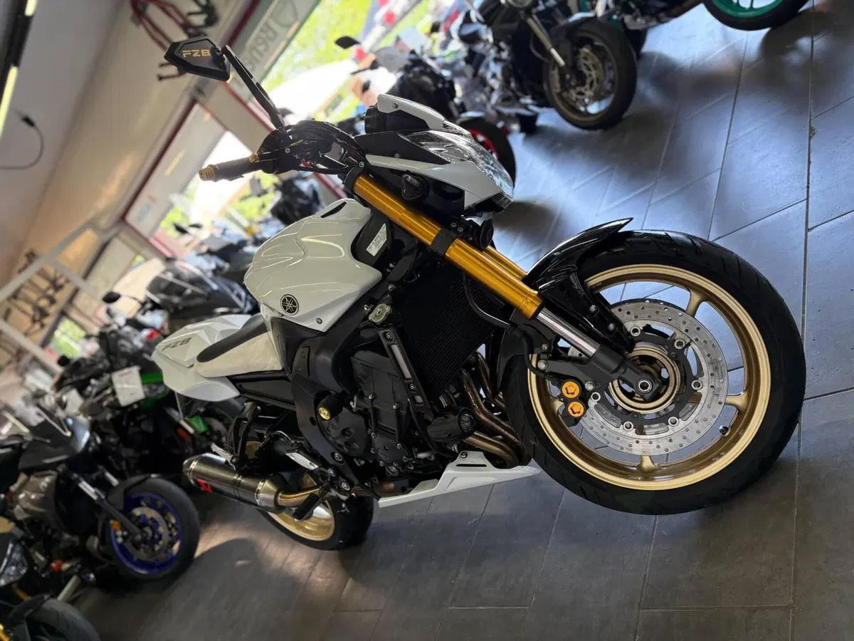 Yamaha FZ8 (2010 - 12) (6)
