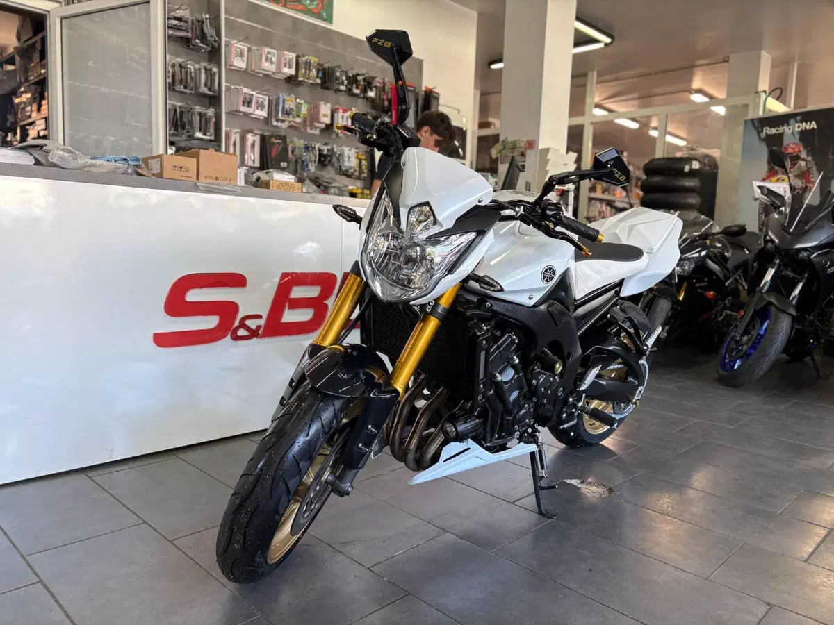 Yamaha FZ8 (2010 - 12) (2)
