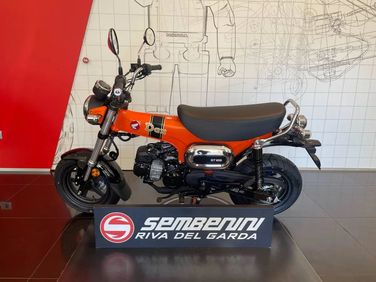 Honda Dax 125 (2025 - 26) (5)