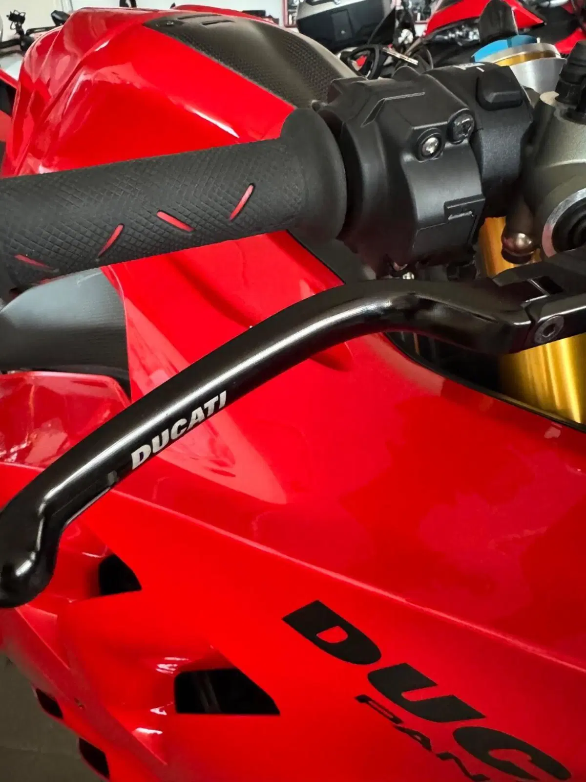Ducati Panigale V4 S (2022 - 24) (8)