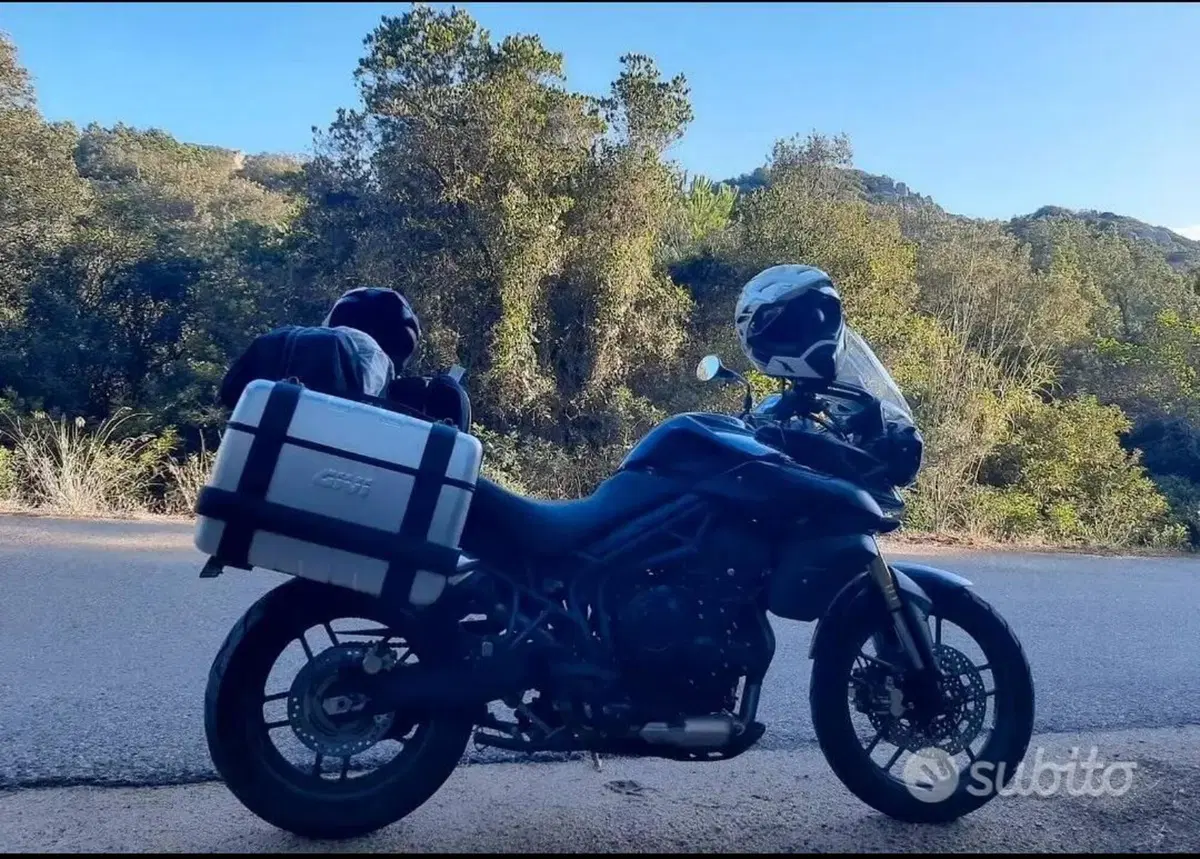 Triumph Tiger 800 ABS (2010 - 14) (2)