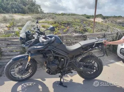 Triumph Tiger 800 ABS (2010 - 14) usata