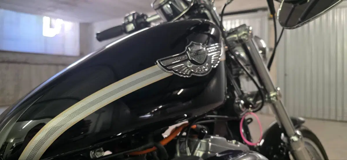 Harley-Davidson 883 Custom (2001 - 05) - XL 53C (2)
