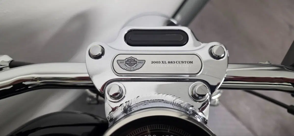 Harley-Davidson 883 Custom (2001 - 05) - XL 53C (4)