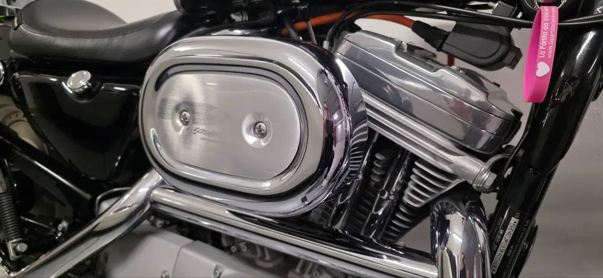 Harley-Davidson 883 Custom (2001 - 05) - XL 53C (5)