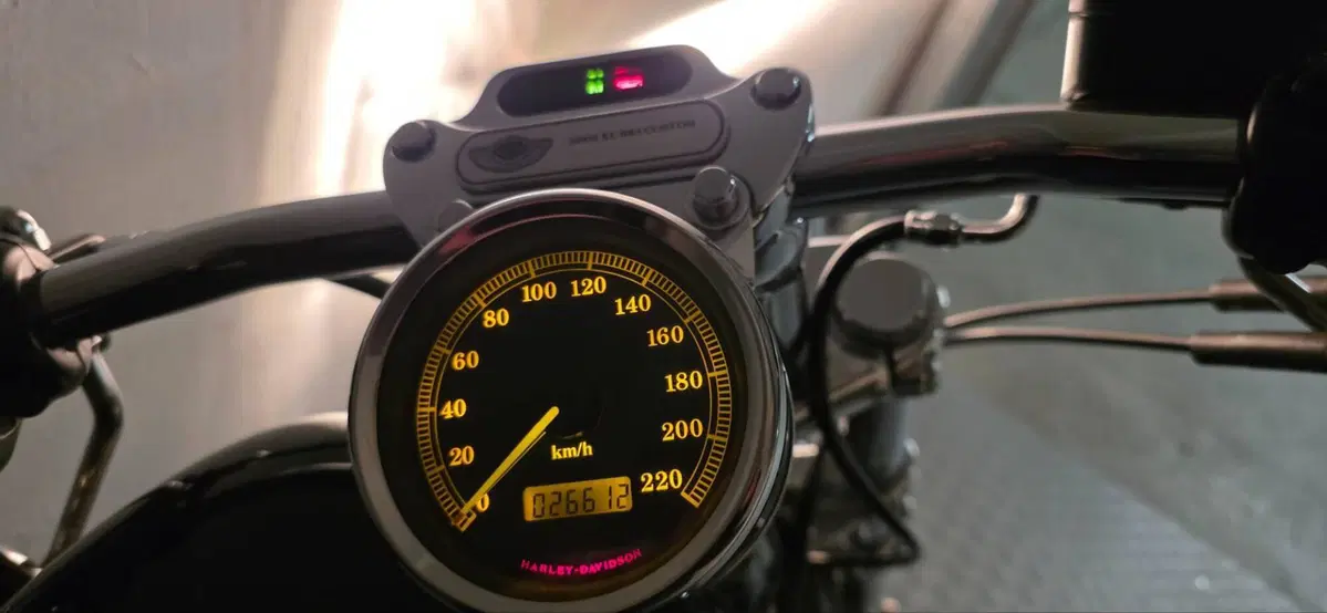 Harley-Davidson 883 Custom (2001 - 05) - XL 53C (6)