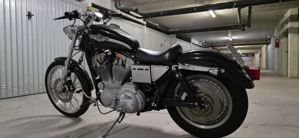 Harley-Davidson 883 Custom (2001 - 05) - XL 53C (7)