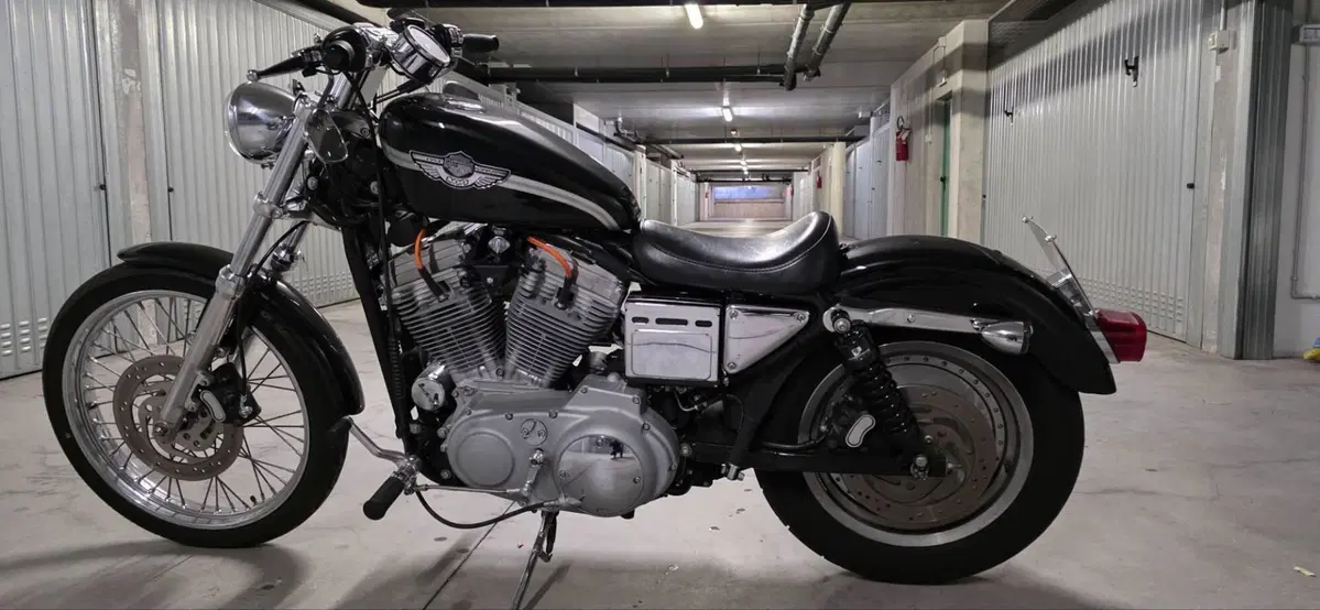 Harley-Davidson 883 Custom (2001 - 05) - XL 53C (8)