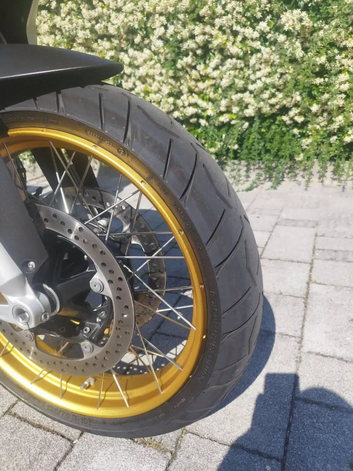Bmw R 1250 GS Ultimate Edition (2023) (11)