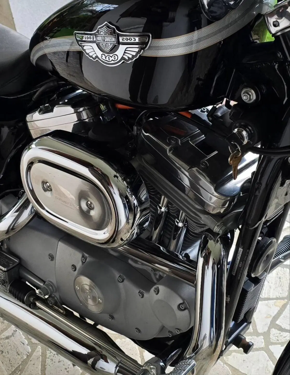 Harley-Davidson 883 Custom (2001 - 05) - XL 53C