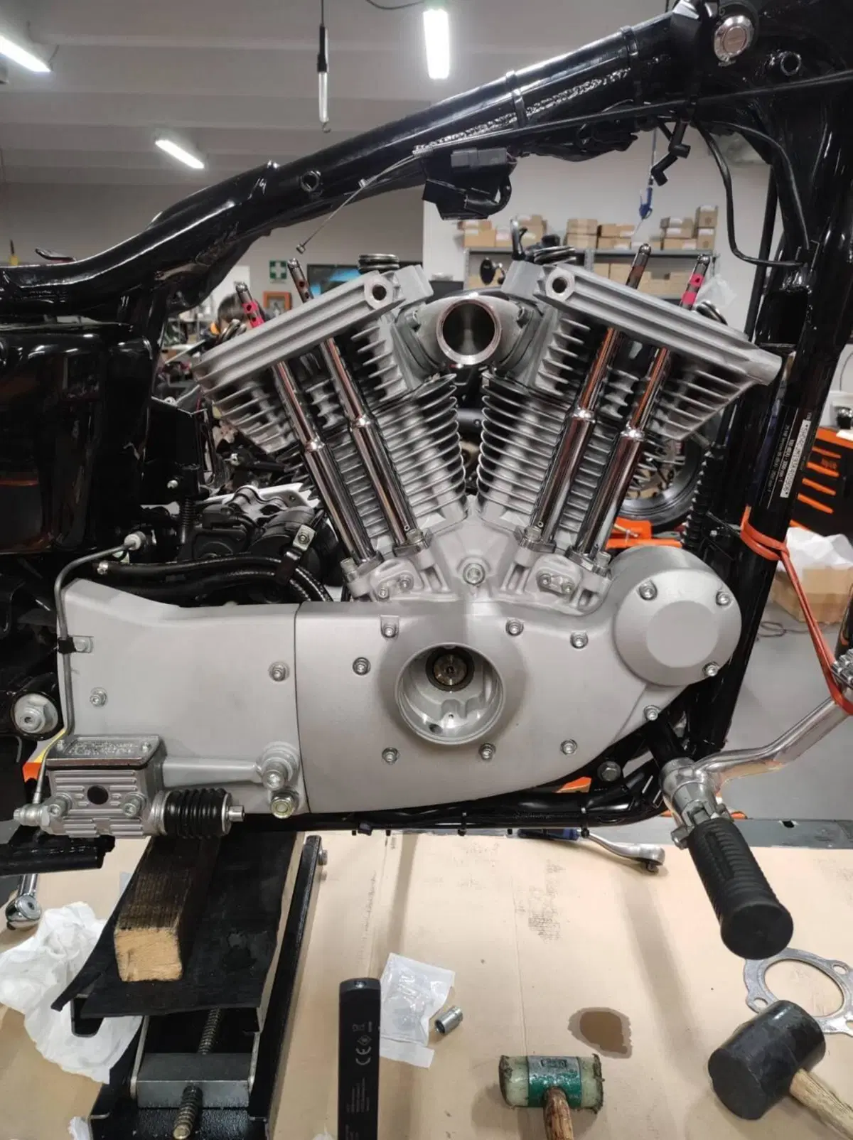 Harley-Davidson 883 Custom (2001 - 05) - XL 53C (12)