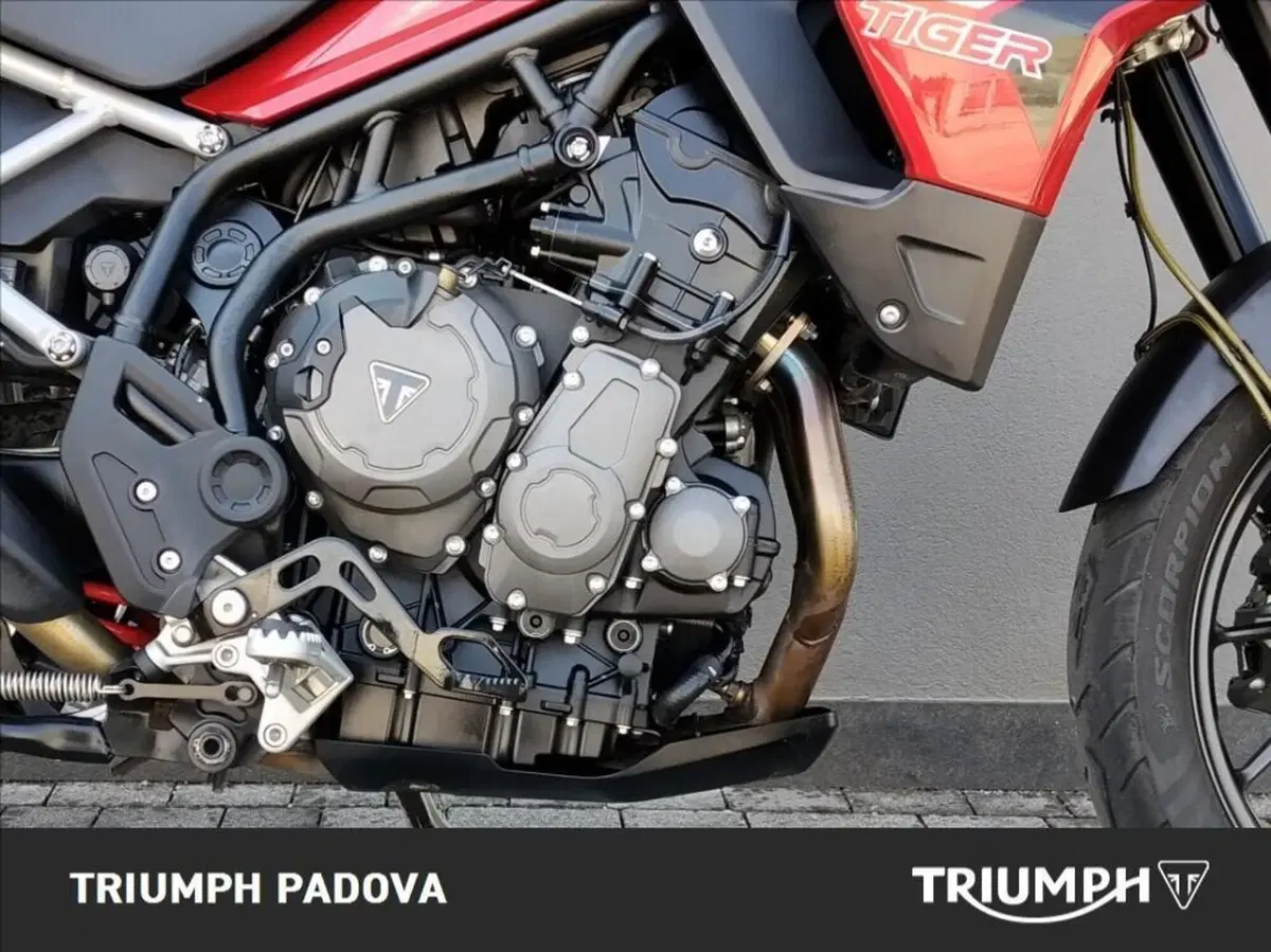 Triumph Tiger 900 GT Pro (2020 - 23) (3)