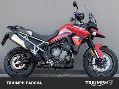 Triumph Tiger 900 GT Pro (2020 - 23) usata