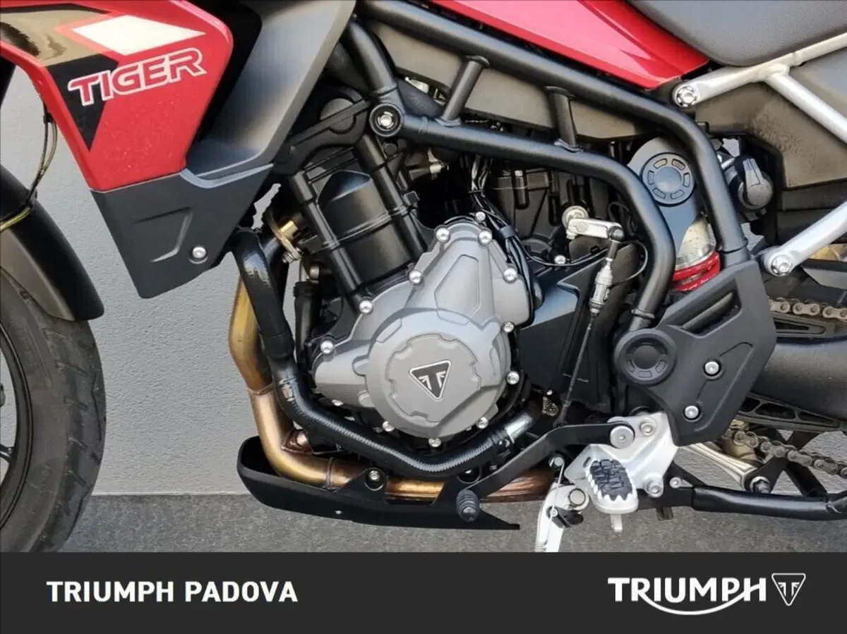 Triumph Tiger 900 GT Pro (2020 - 23) (8)