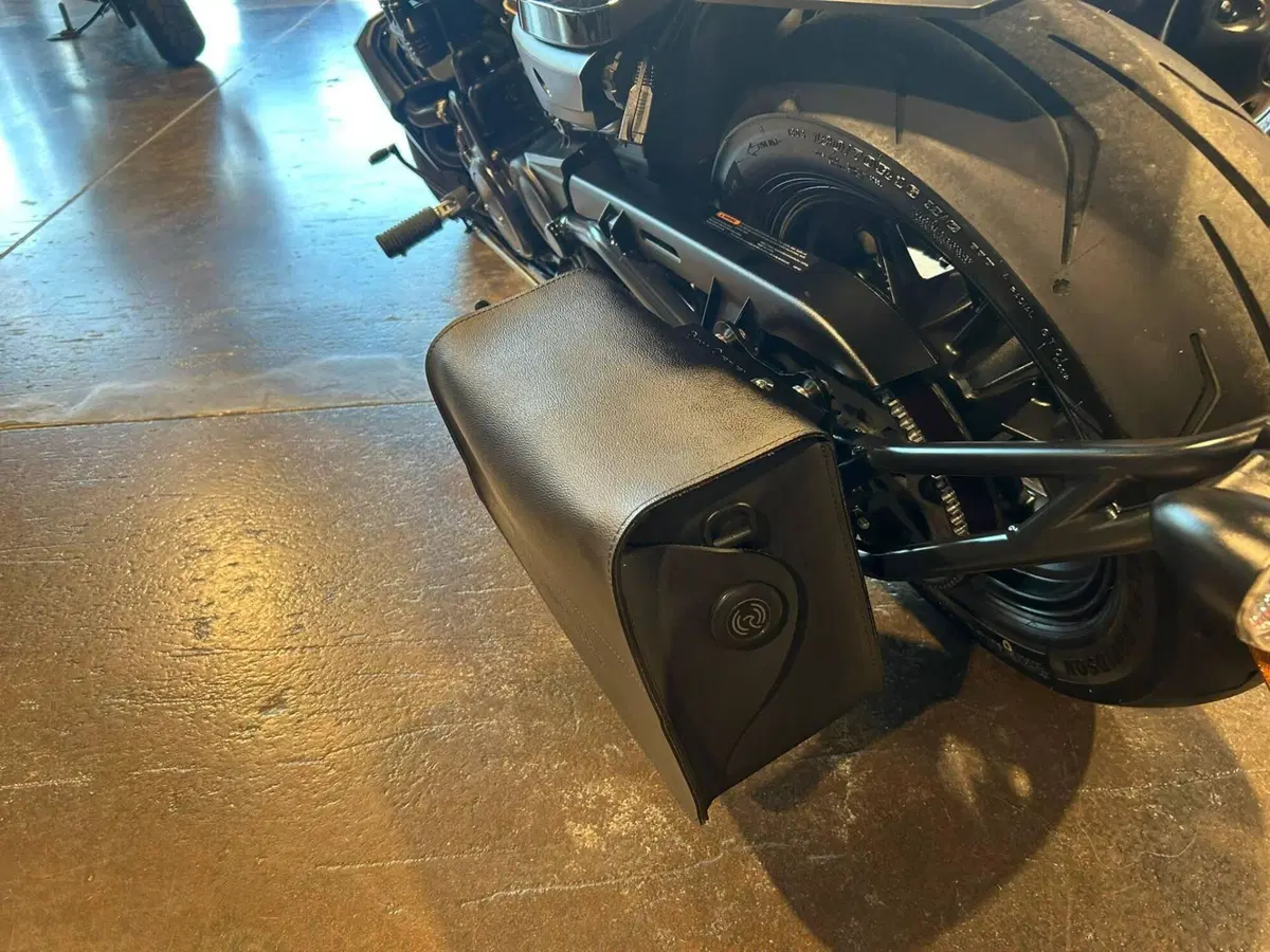 Harley-Davidson Sportster S (2025 - 26) (6)