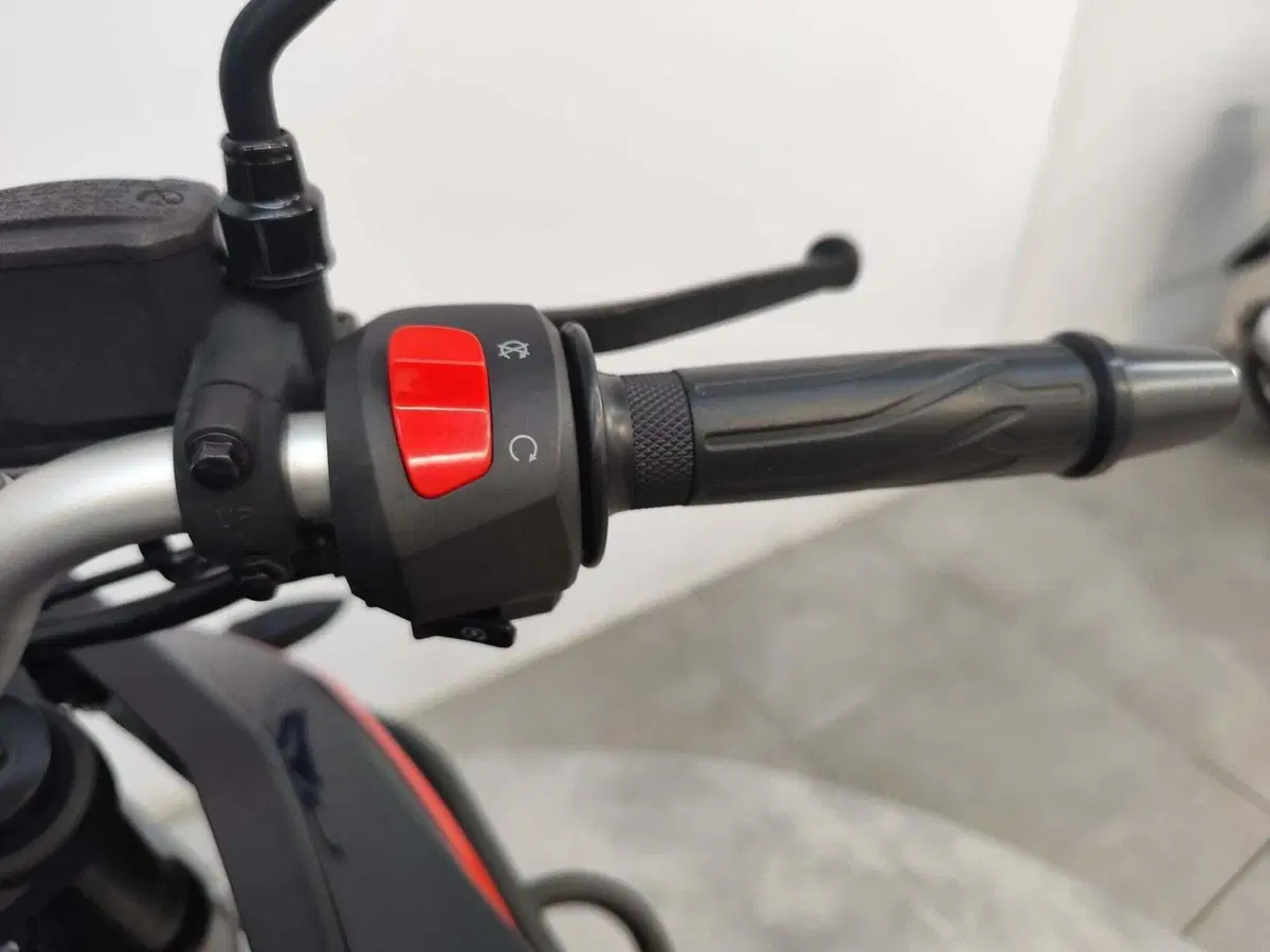 Voge Valico 300DS (2021 - 24) (8)