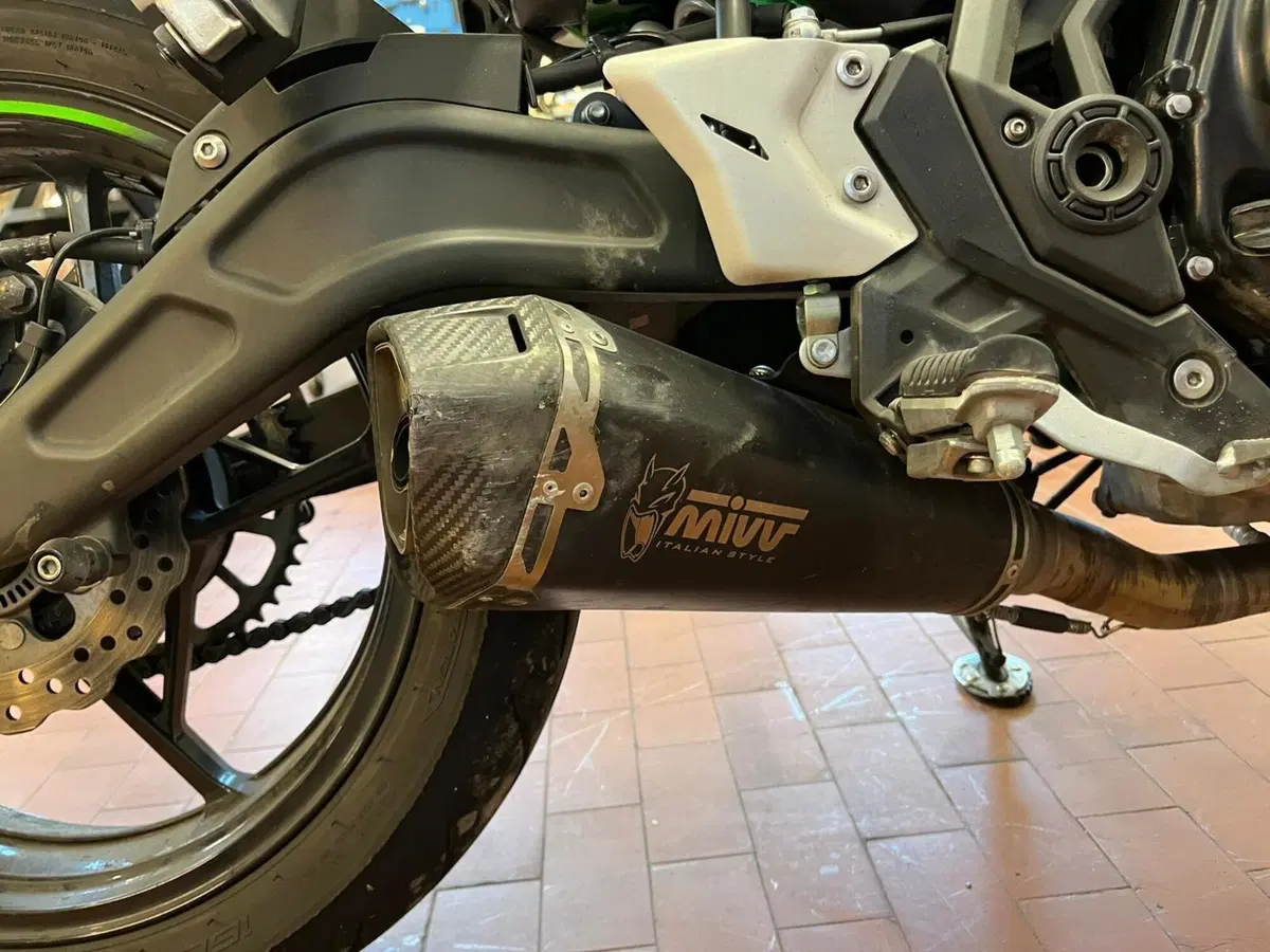 Kawasaki Z 650 Urban (2021 - 24) (4)