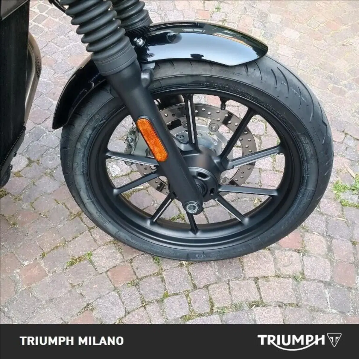 Triumph Speed Twin 900 (2023 - 24) (5)