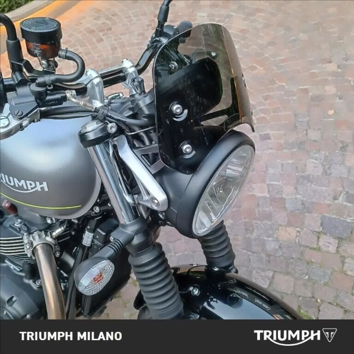 Triumph Speed Twin 900 (2023 - 24) (4)