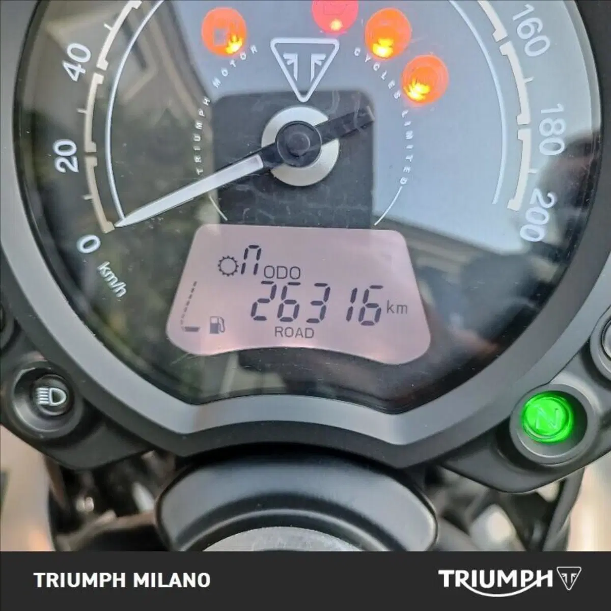 Triumph Speed Twin 900 (2023 - 24) (6)