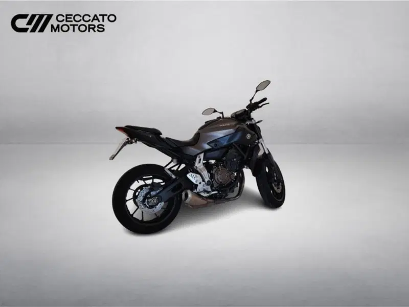 Yamaha MT-07 (2017 - 18) (4)