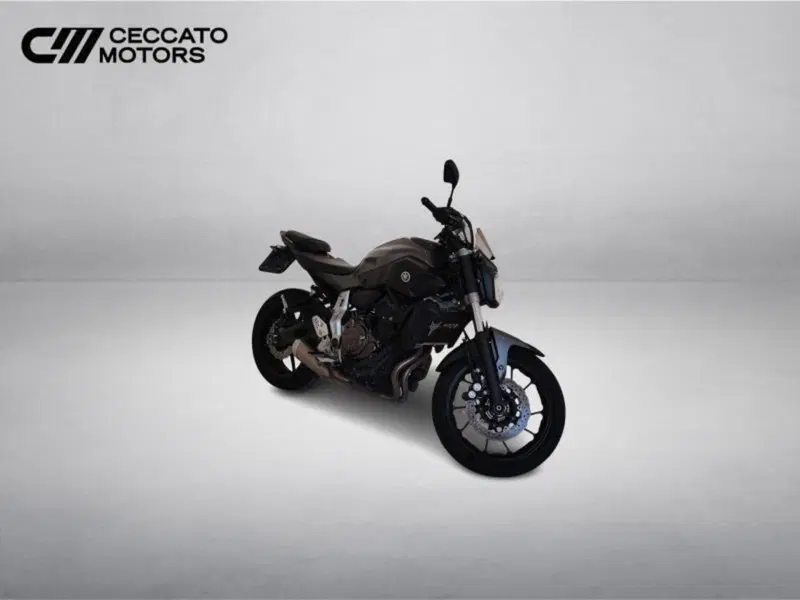 Yamaha MT-07 (2017 - 18) (2)
