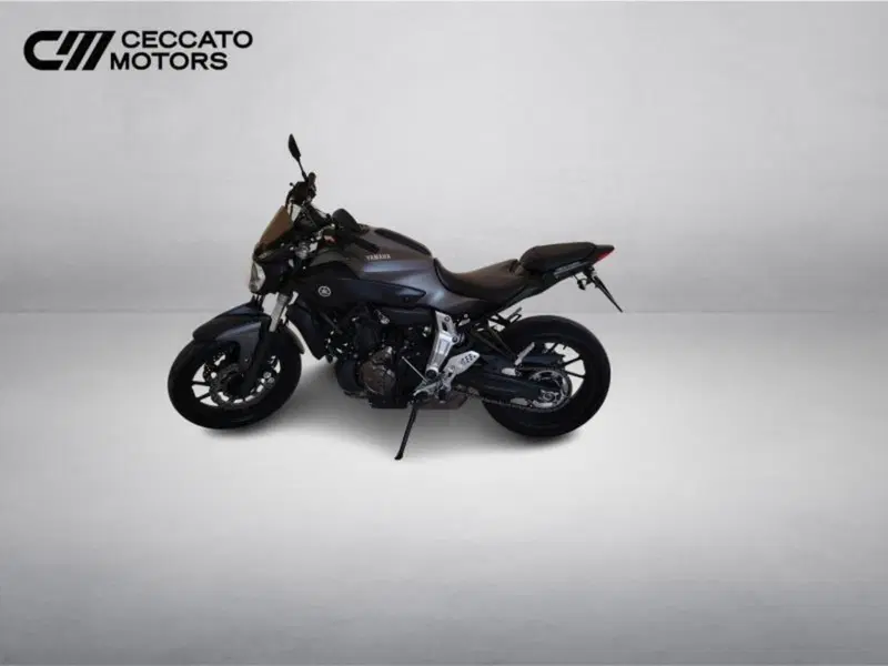 Yamaha MT-07 (2017 - 18) (8)