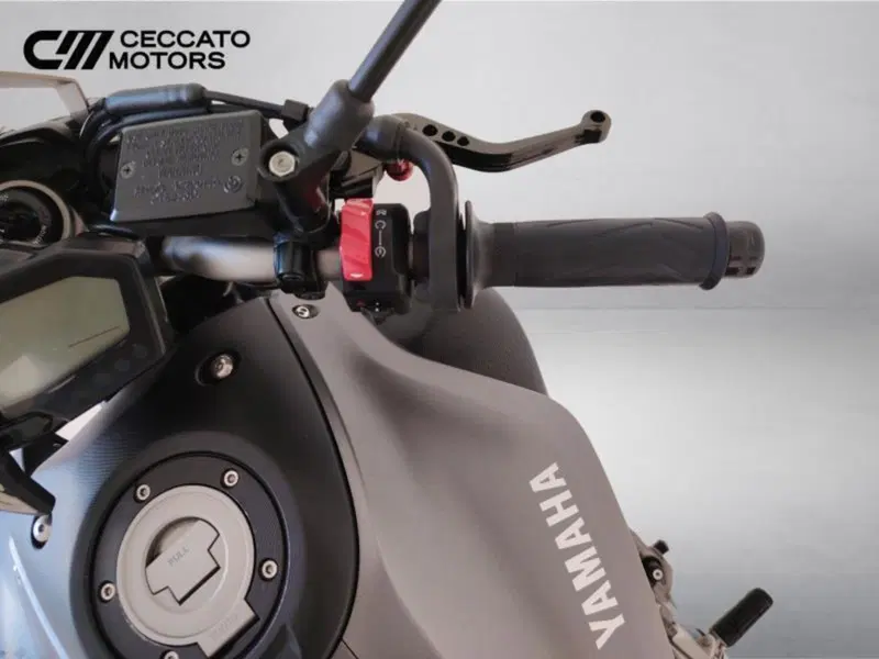 Yamaha MT-07 (2017 - 18) (11)