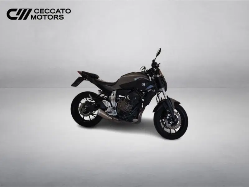 Yamaha MT-07 (2017 - 18) (3)