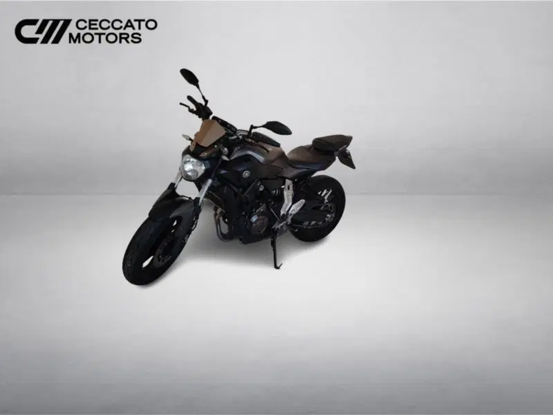 Yamaha MT-07 (2017 - 18) (9)