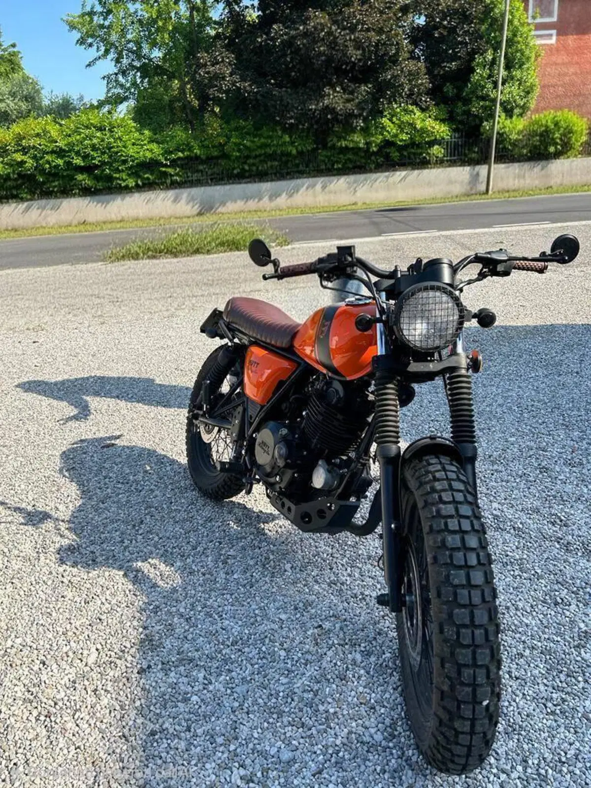 Mutt Motorcycles Fat Sabbath 250 (2021 - 23) (2)