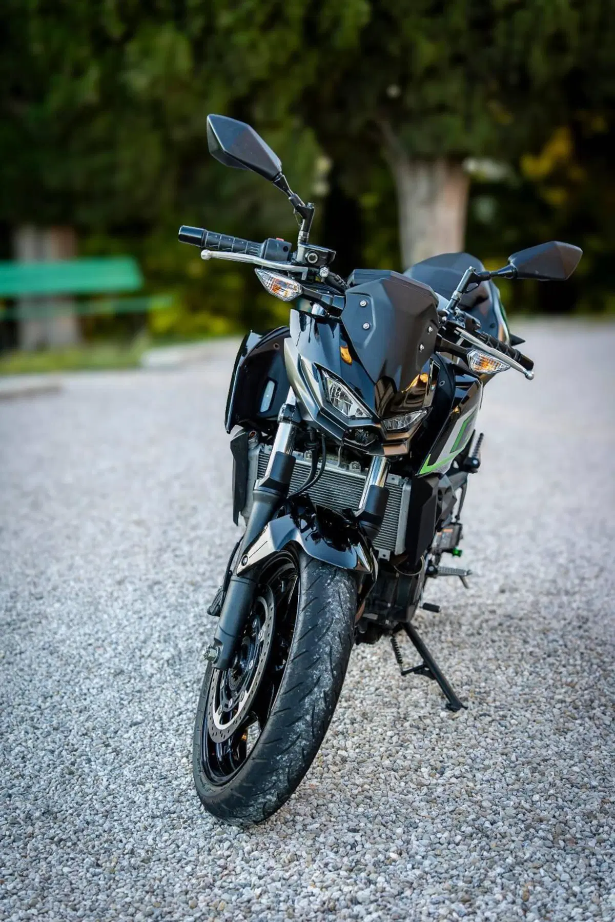 Kawasaki Z 500 (2024 - 26) (4)