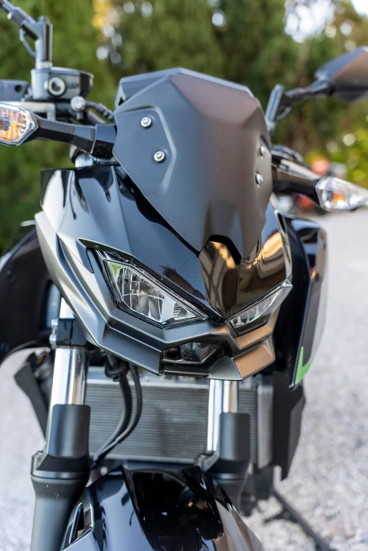 Kawasaki Z 500 (2024 - 26) (9)