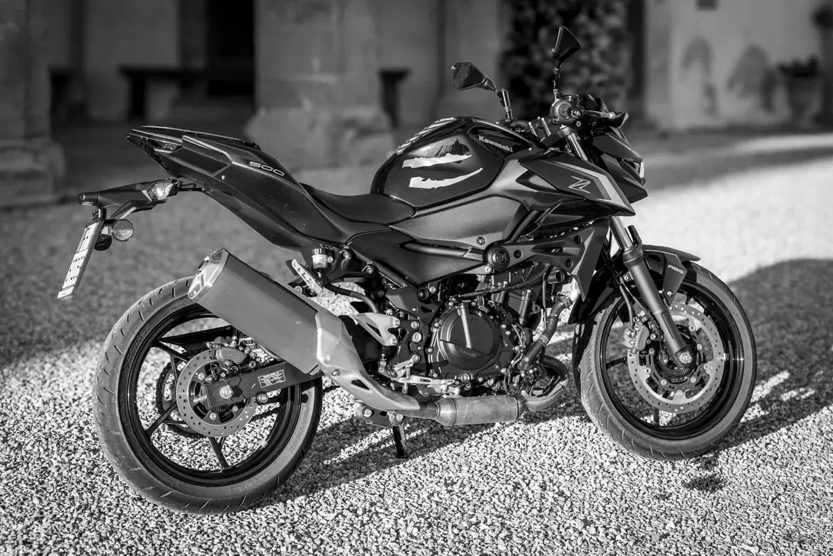 Kawasaki Z 500 (2024 - 26) (10)