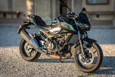 Kawasaki Z 500 (2024 - 26) usata