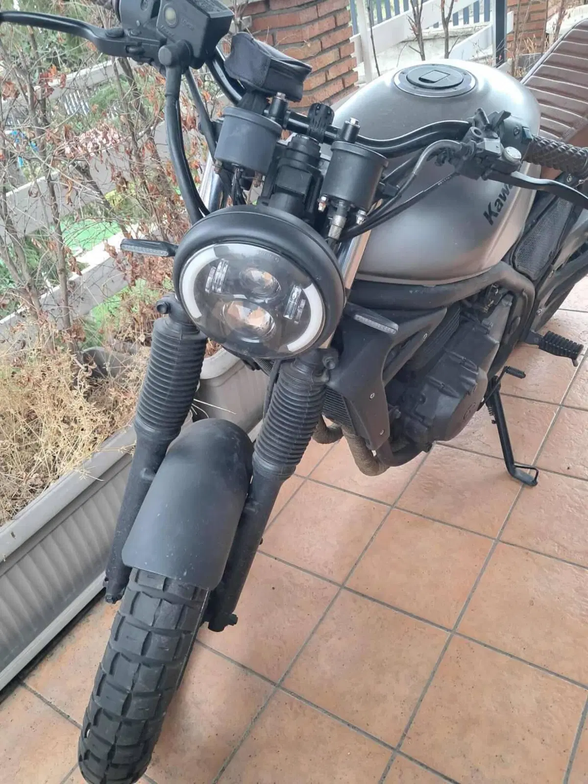 Kawasaki ER-5 500 (2001 - 06) (3)