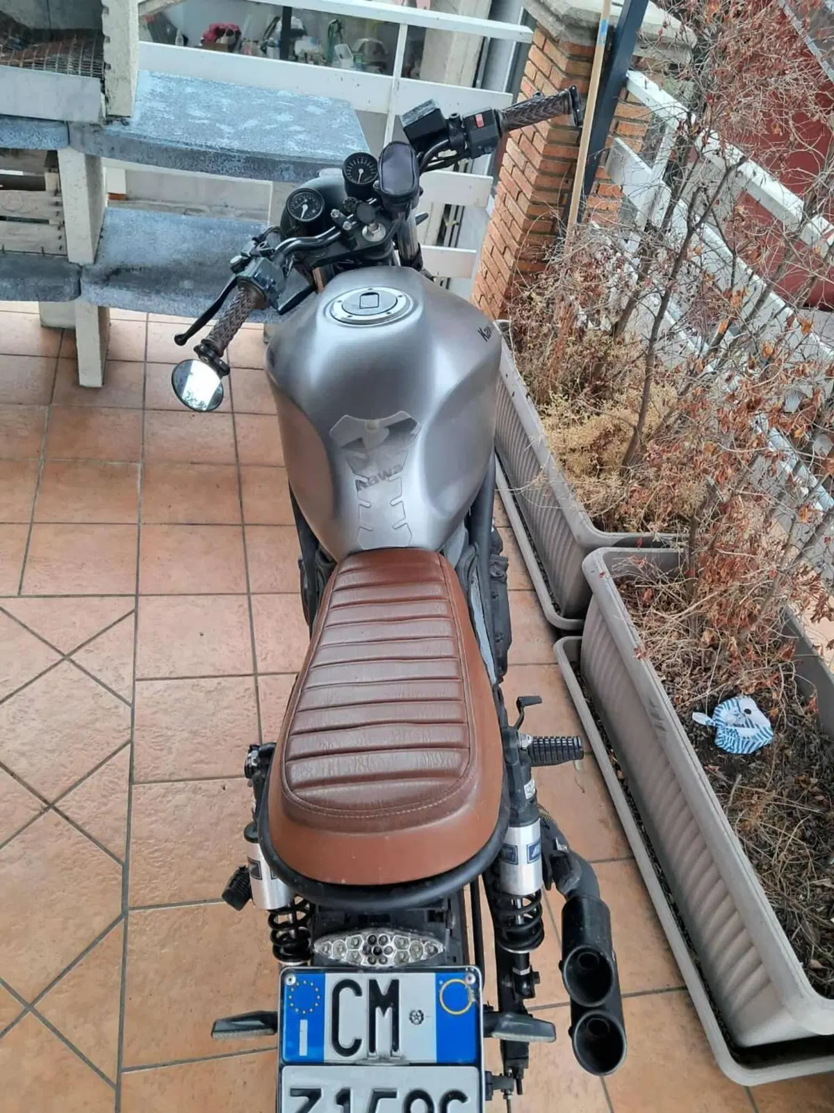 Kawasaki ER-5 500 (2001 - 06) (4)