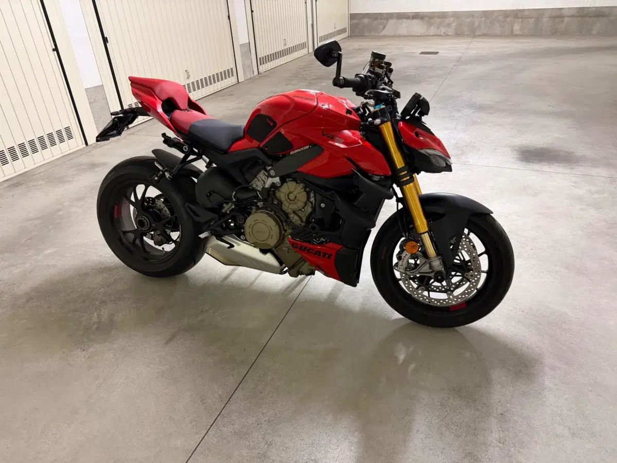 Ducati Streetfighter V4 S (2023 - 24) (3)
