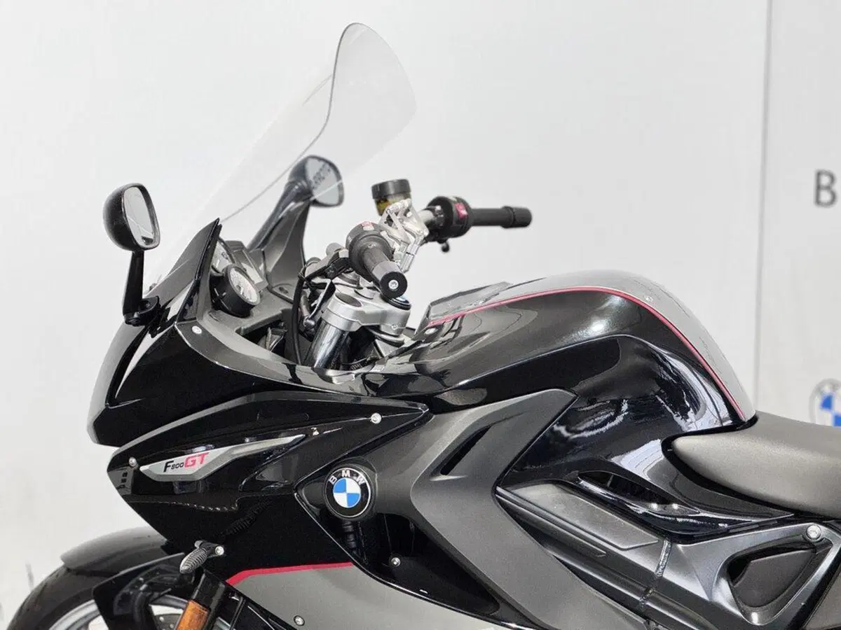 Bmw F 800 GT (2017 - 20) (6)