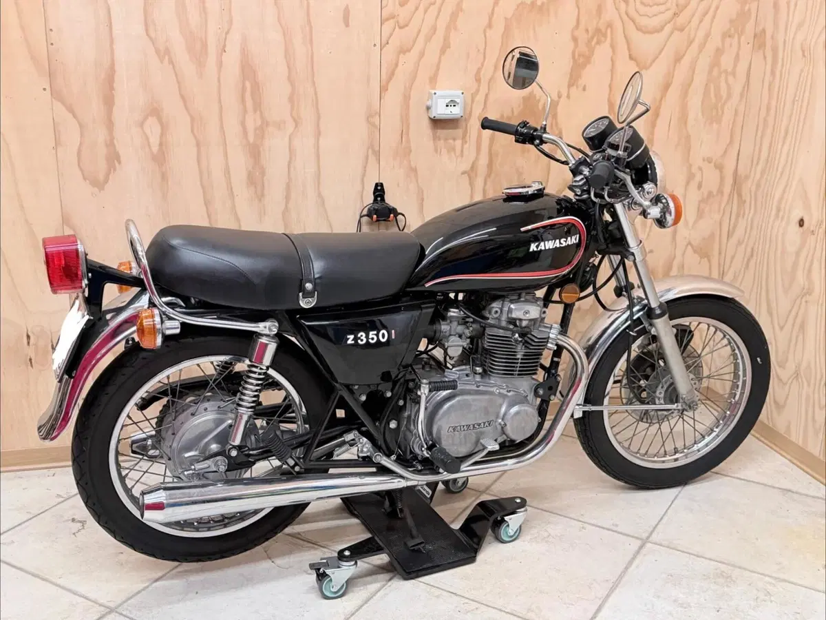 Kawasaki Z350i (2)