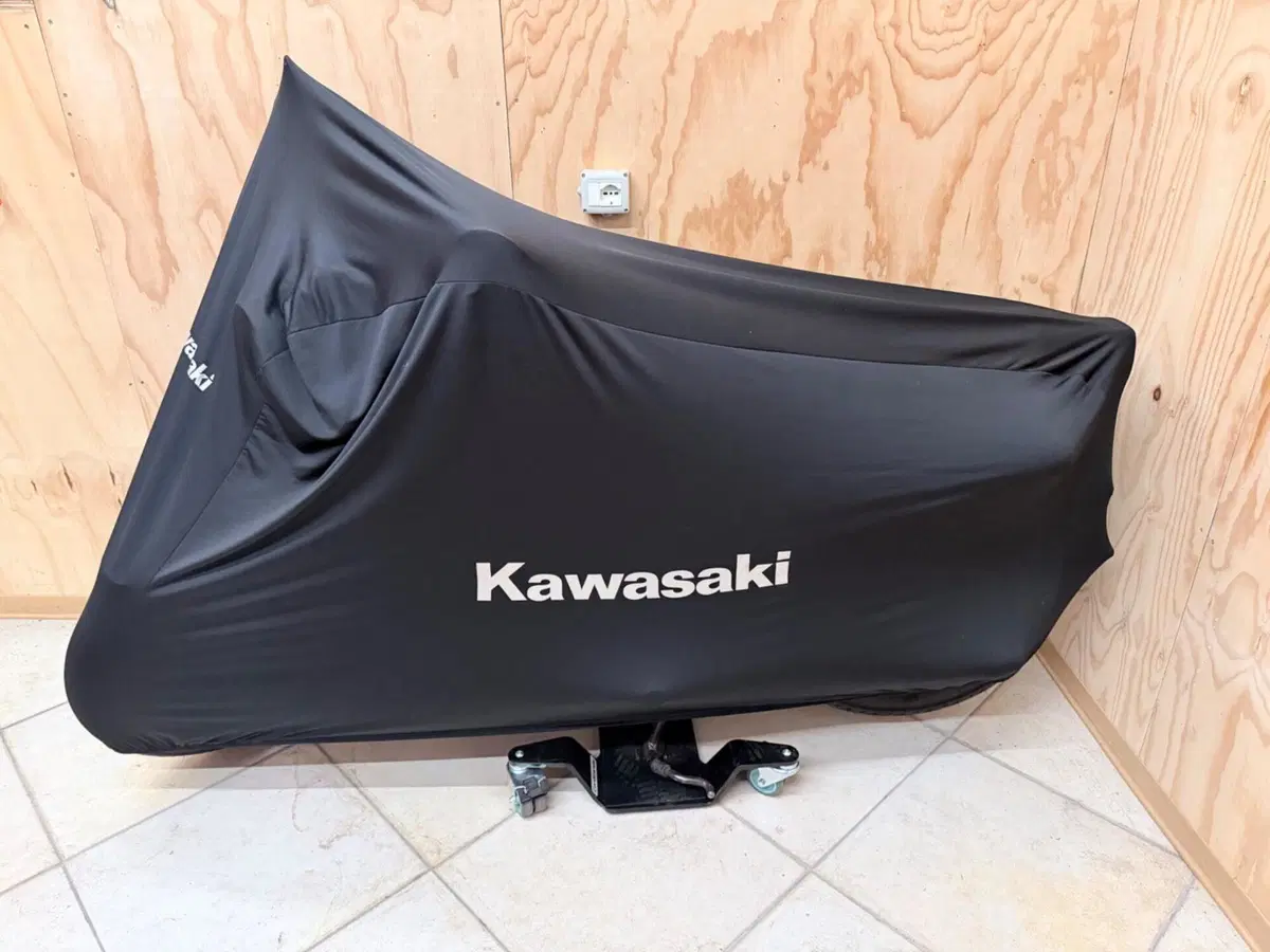Kawasaki Z350i (6)