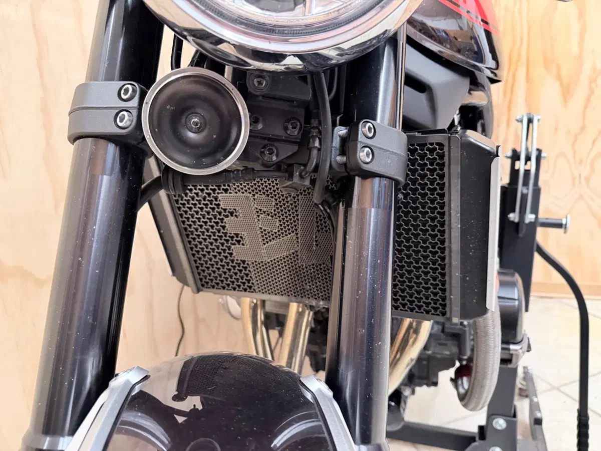 Kawasaki Z 900 RS (2018 - 20) (3)