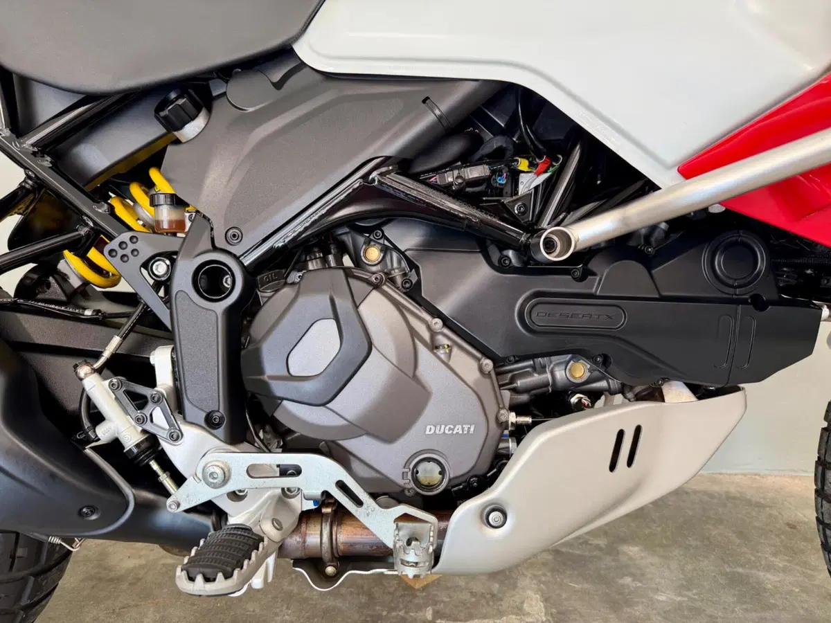 Ducati DesertX (2022 - 25) (6)