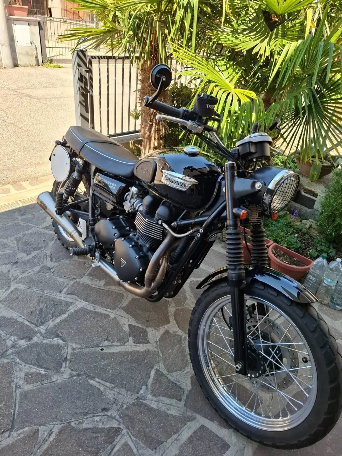 Triumph Scrambler (2006 - 17)